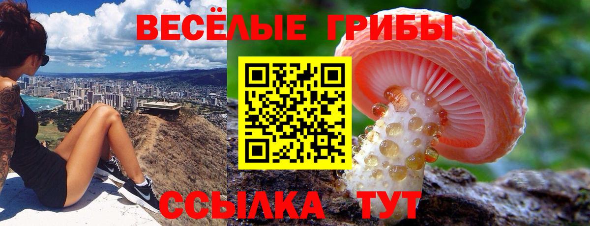 Псилоцибиновые грибы ЛСД Гусиноозёрск