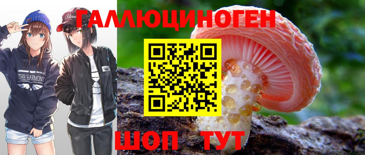 Галлюциногенные грибы Magic Shrooms  Псилоцибиновые грибы прущие грибы  Вход с VPN  Гусиноозёрск 